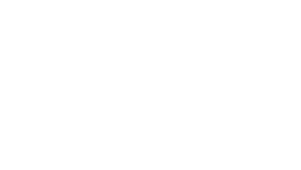 NAVA